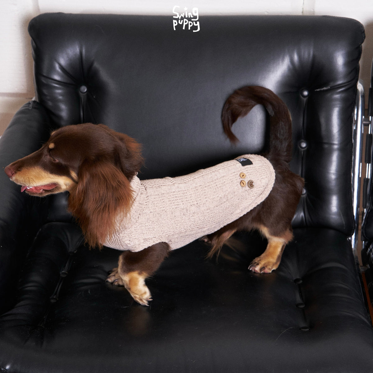 Side view of a pale pink knitted sweater on a dachshund.