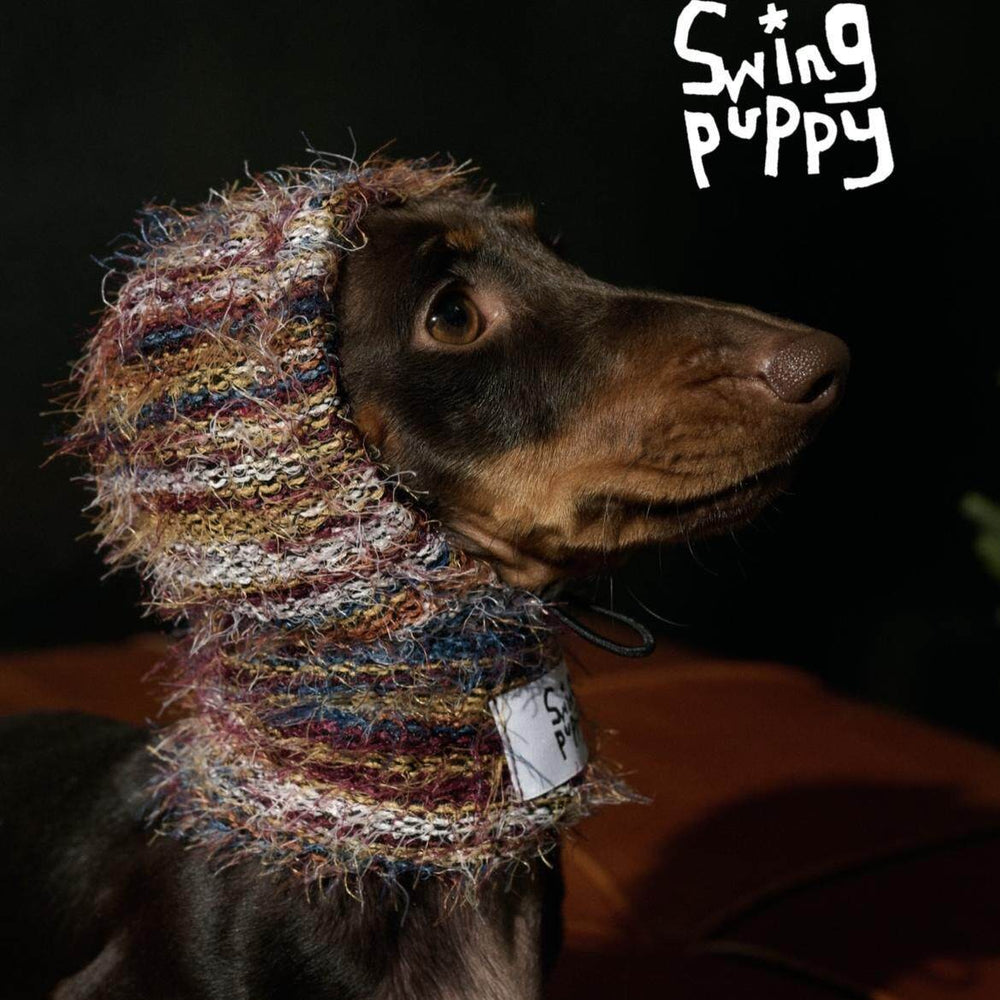 Dachshund wearing a multicolored knitted hood, close-up side view.
