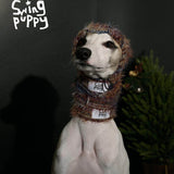 Front view of a multicolored knitted hood on a dog.