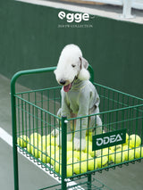 White dog wearing a green cotton bodysuit in a shopping cart.