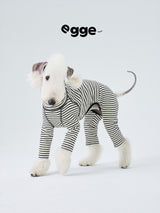 White dog wearing a black and white striped cotton bodysuit.