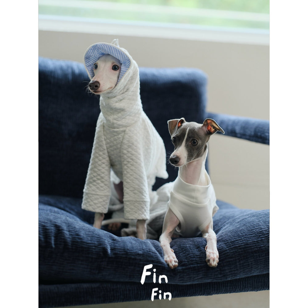 Two dogs wearing cream hooded tops, one with a blue inner hood.