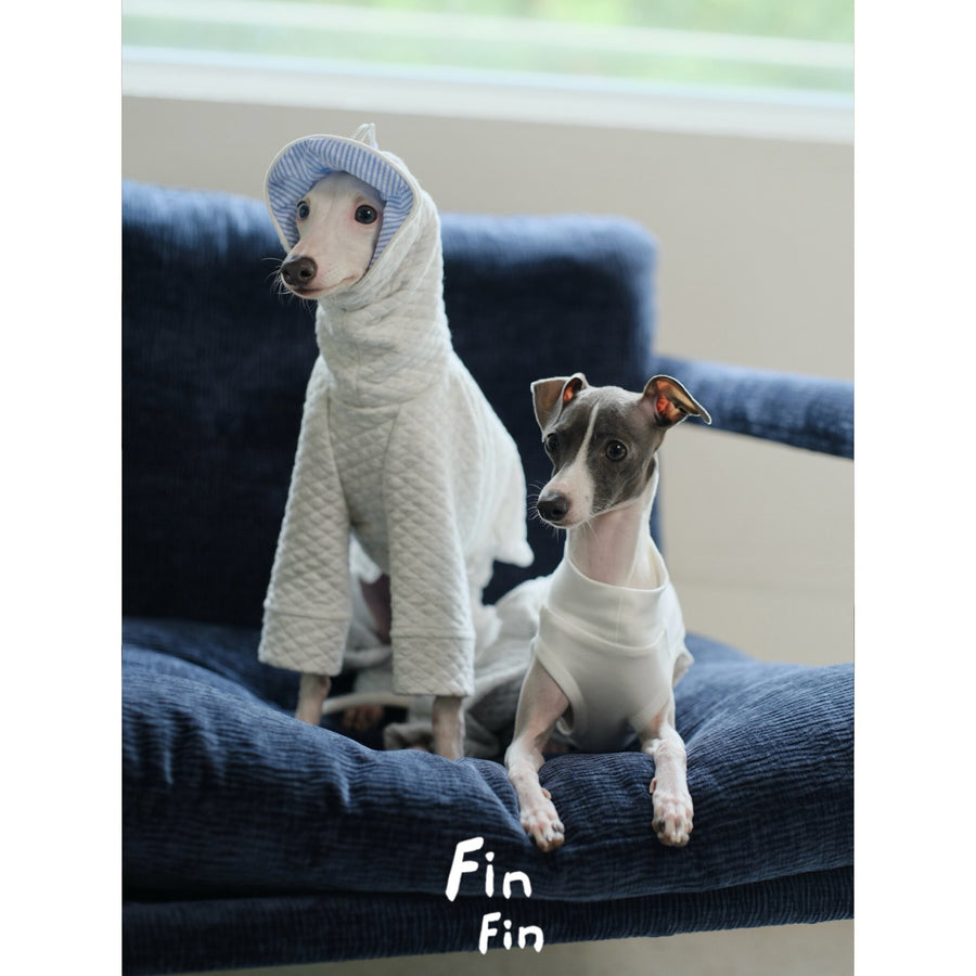 Two dogs wearing cream hooded tops, one with a blue inner hood.