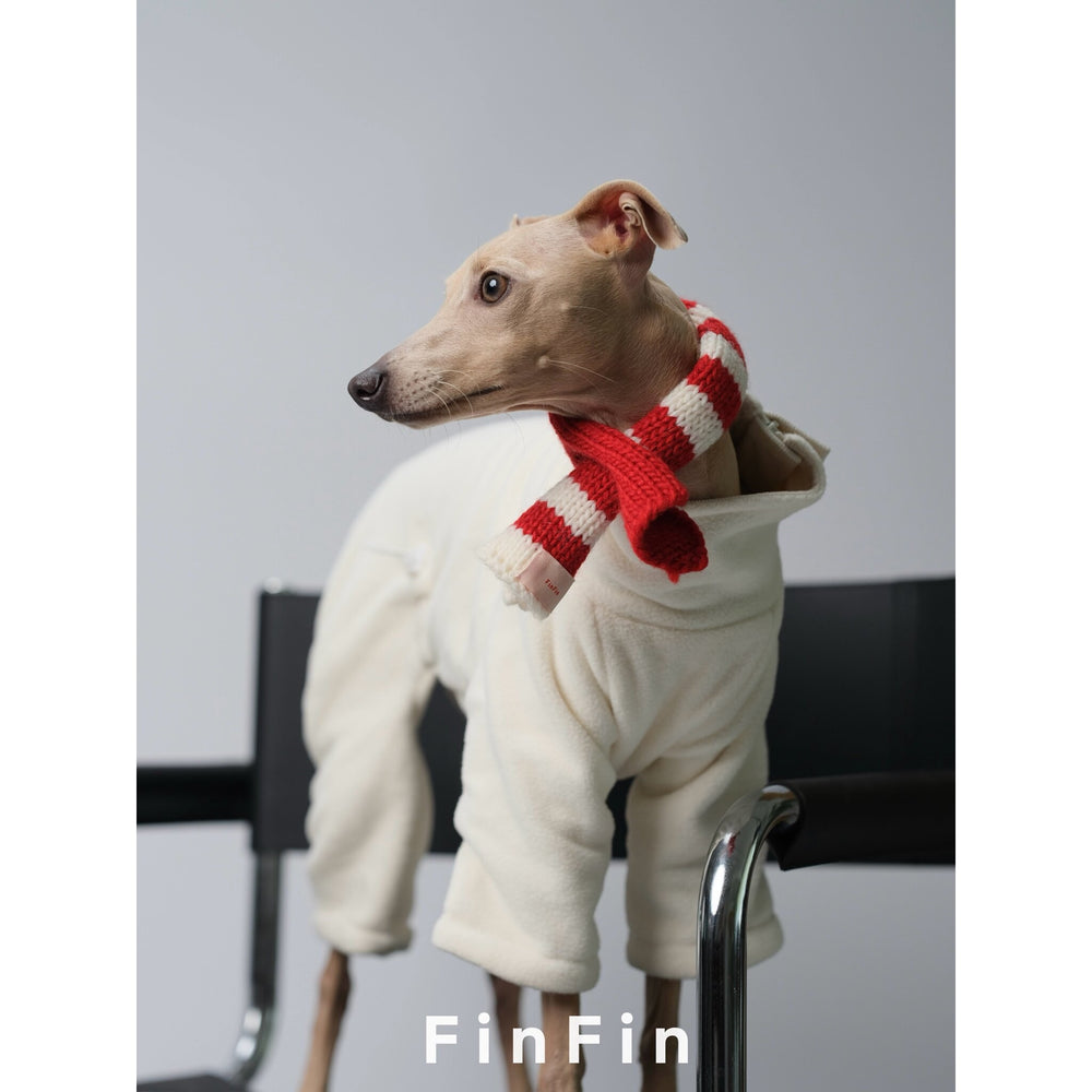 Dog wearing a red and cream striped scarf over a white bodysuit.