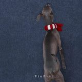Rear view of a dog wearing a red and cream striped scarf.