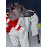 Side view of a dog wearing a tied red and cream scarf.