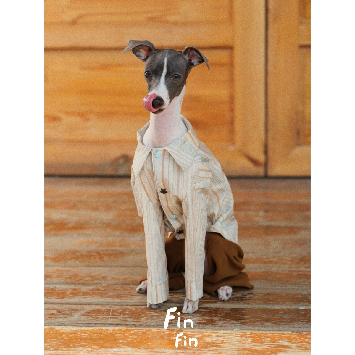 Seated dog wearing striped pajamas with a fold-down collar.