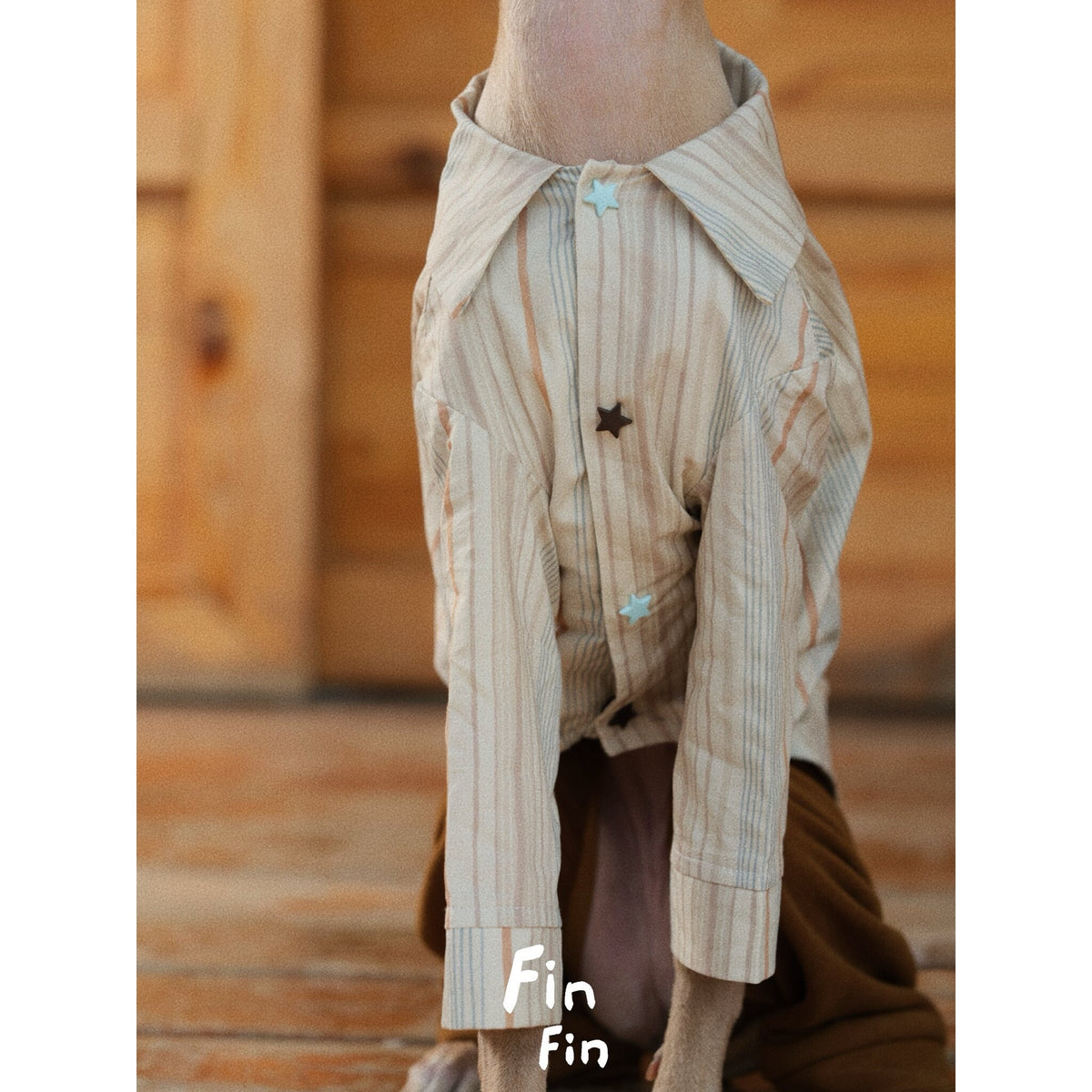 Close-up of striped dog pajamas with collar and chest fastening.
