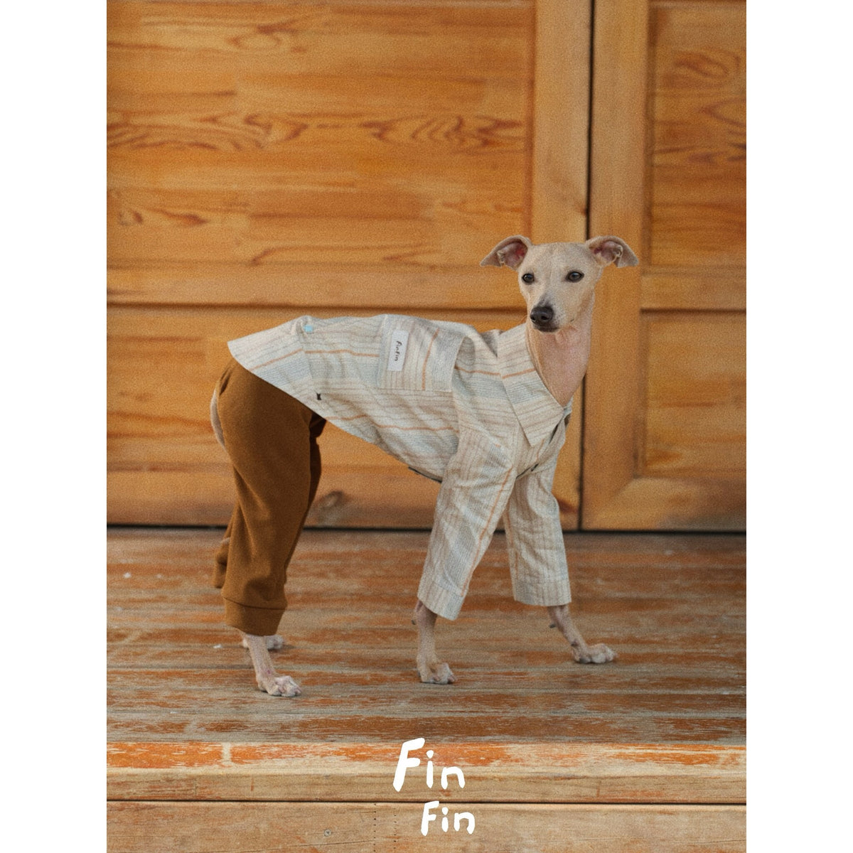 Side view of a dog wearing striped pajamas with brown trousers.