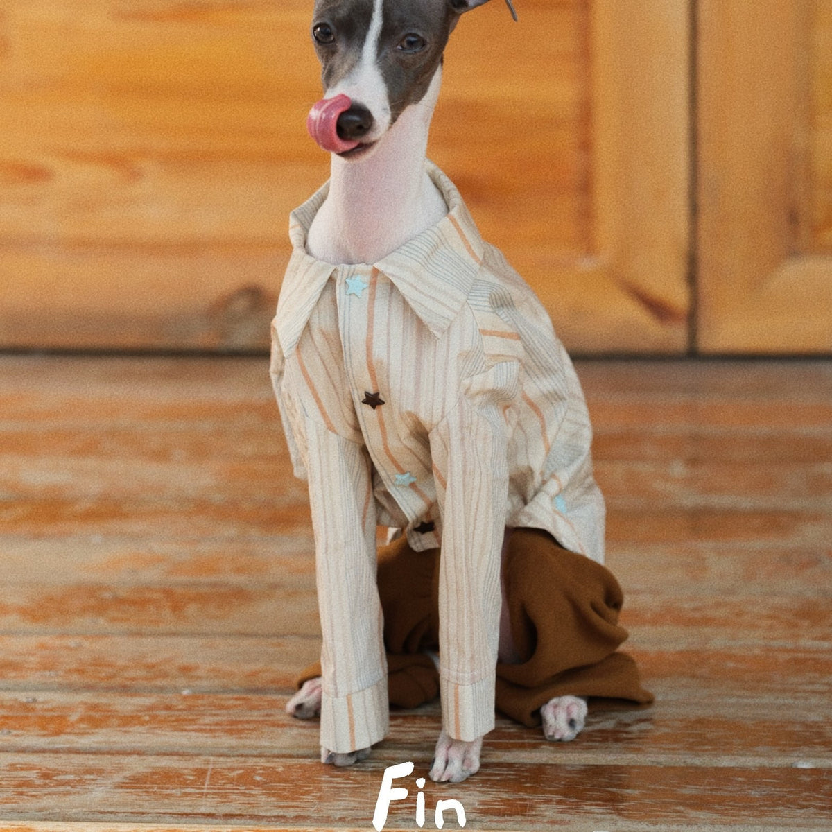 Front view of a striped collared dog pajama shirt.