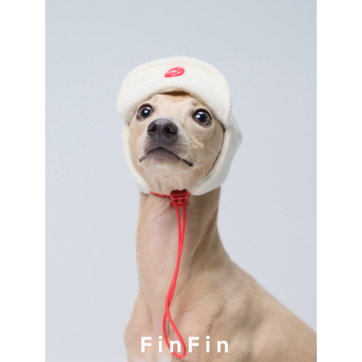 Front view of a cream dog aviator hat with red tie cords.