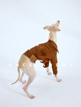 Rear view of a dog wearing a brown collared jacket.