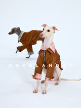 Two dogs wearing brown collared jackets against a pale background.