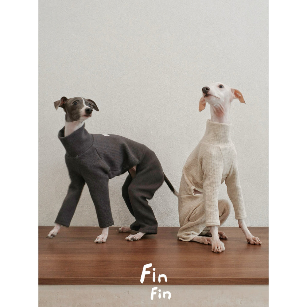 Two dogs wearing gray and cream turtleneck bodysuits.