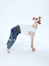 Dog wearing blue jeans with a white tank top.