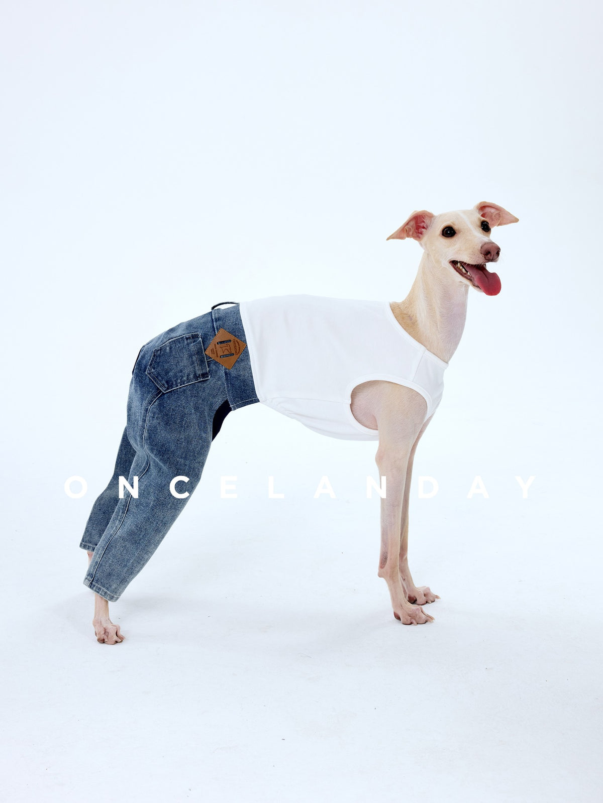 Dog wearing blue jeans with a white tank top.