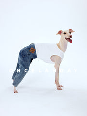 Three-Tone Denim | Color-Block Dog Jeans