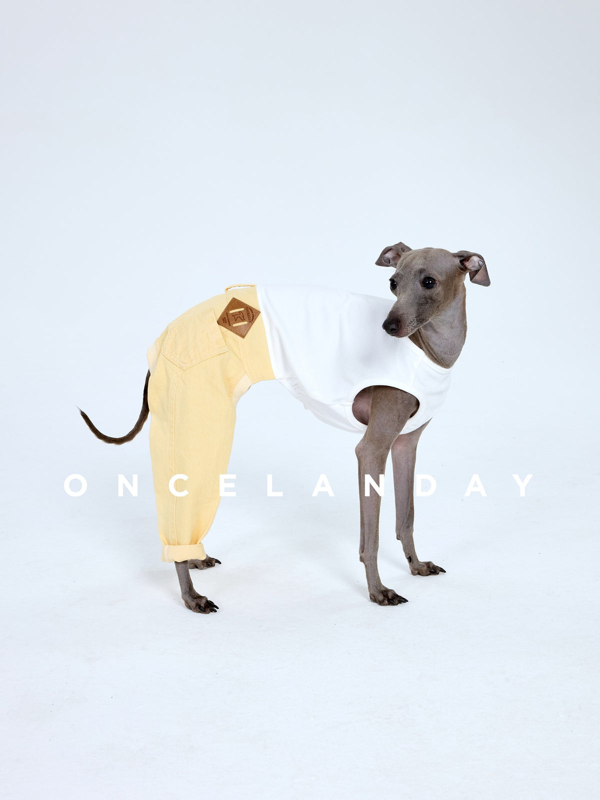 Dog modeling yellow jeans with a white sleeveless top.