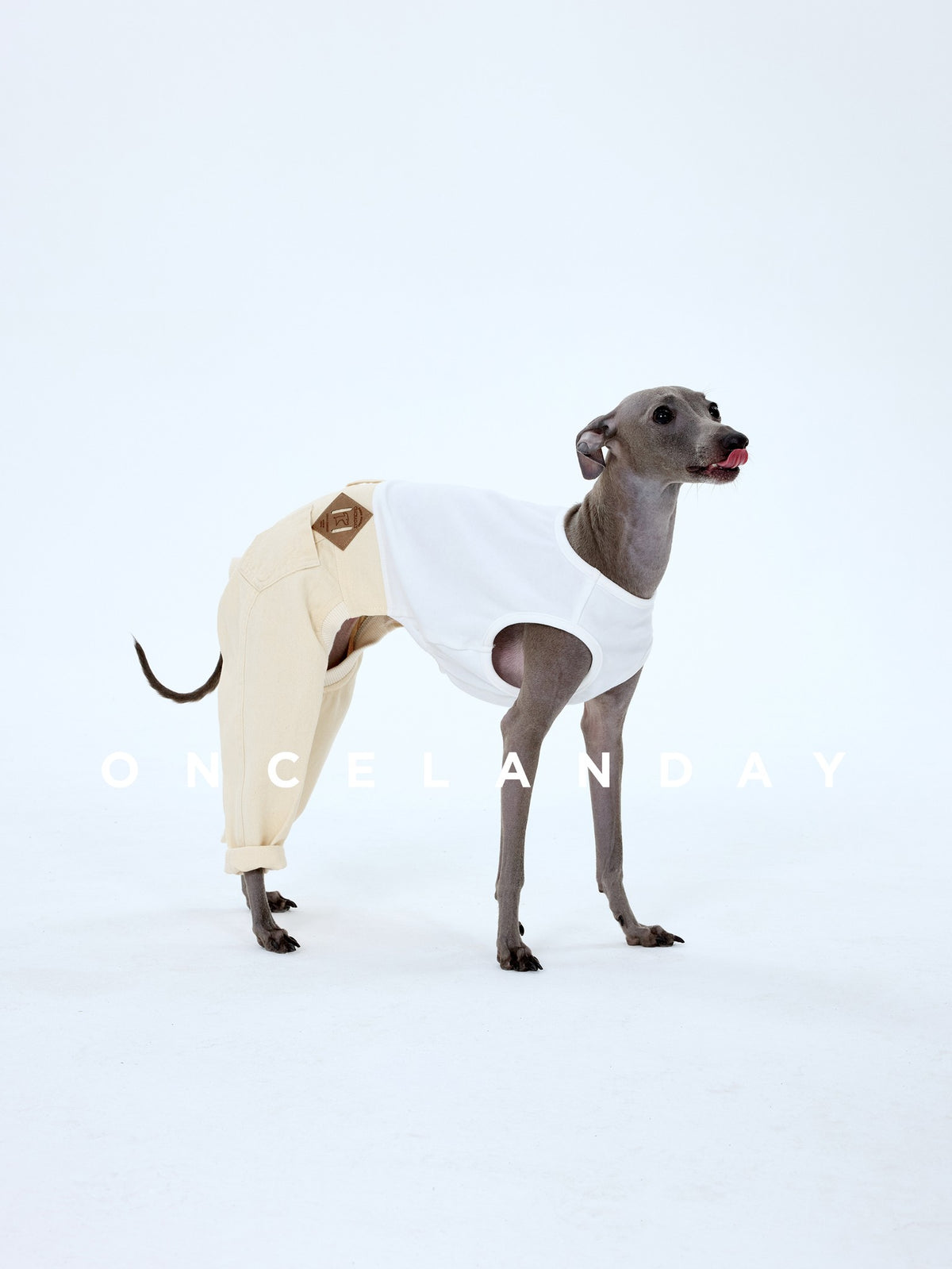 Dog wearing cream trousers and a white tank top.