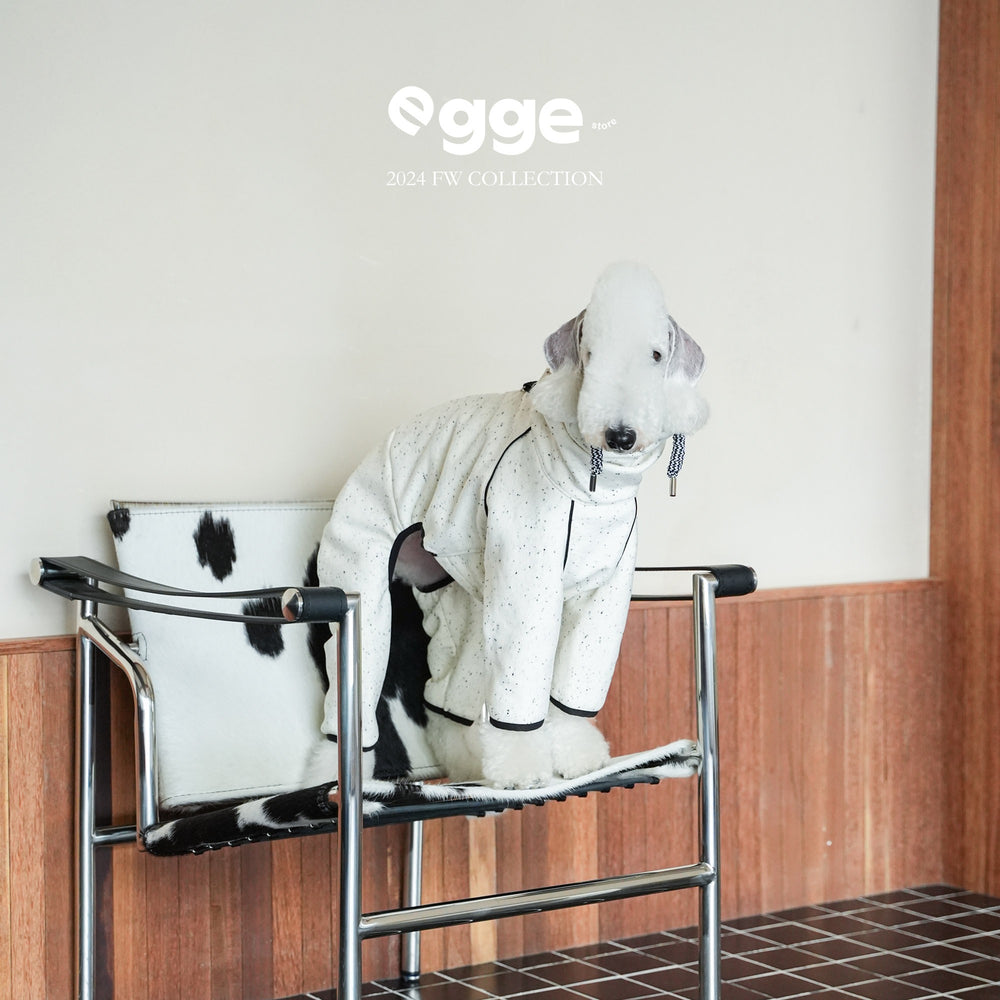 Dog wearing a cream fleece bodysuit on a chair.