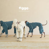 Dogs modeling teal and cream varsity fleece bodysuits.