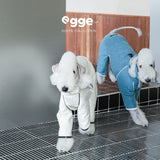 Two dogs wearing blue and cream four-leg fleece bodysuits.