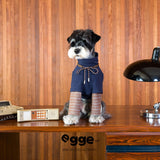 Dog modeling a navy sweatshirt with a drawstring neckline.