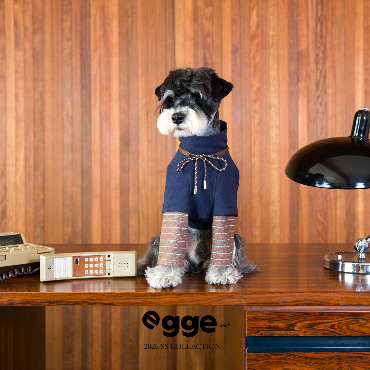 Dog modeling a navy sweatshirt with a drawstring neckline.