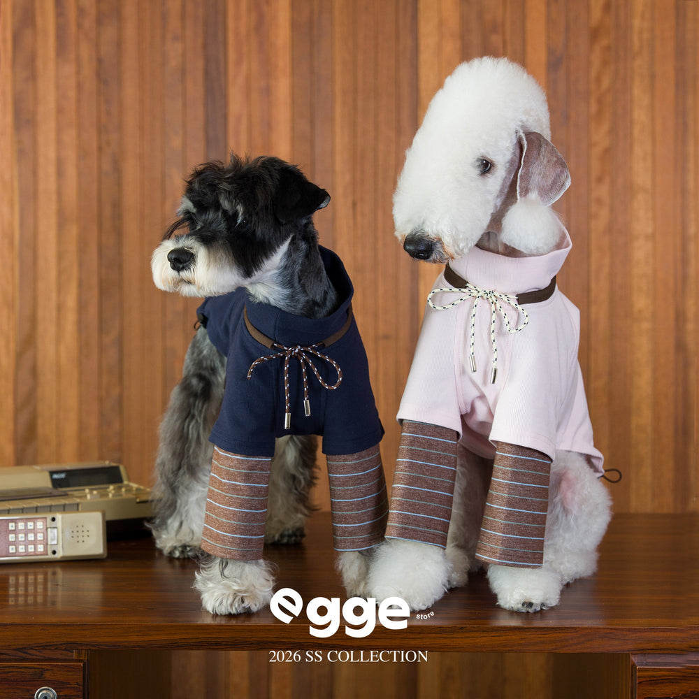 Two dogs wearing navy and pale pink varsity sweatshirts with plaid sleeves.