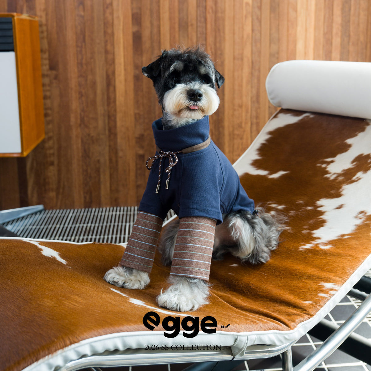 Seated dog wearing a navy varsity sweatshirt with plaid sleeves.
