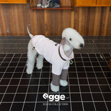 Dog wearing a pale pink varsity sweatshirt with plaid sleeves.