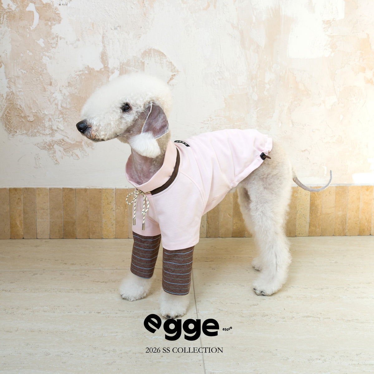 Side view of a dog wearing a pale pink varsity sweatshirt.