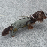Overhead view of gray-green dog overalls with adjustable straps.