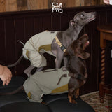 Dogs wearing pale green colorblock overalls with adjustable straps.