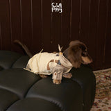 Long-haired dachshund wearing cream overalls on a black chair.
