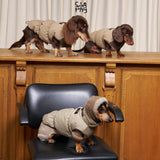 Dachshunds modeling tan and cream padded vests around black chairs.