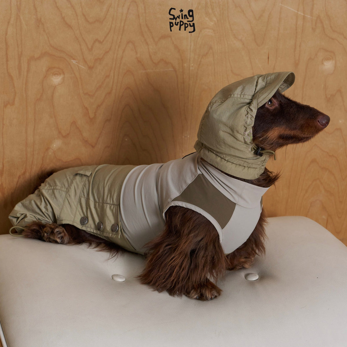 Side view of an olive and gray hooded jumpsuit on a dachshund.