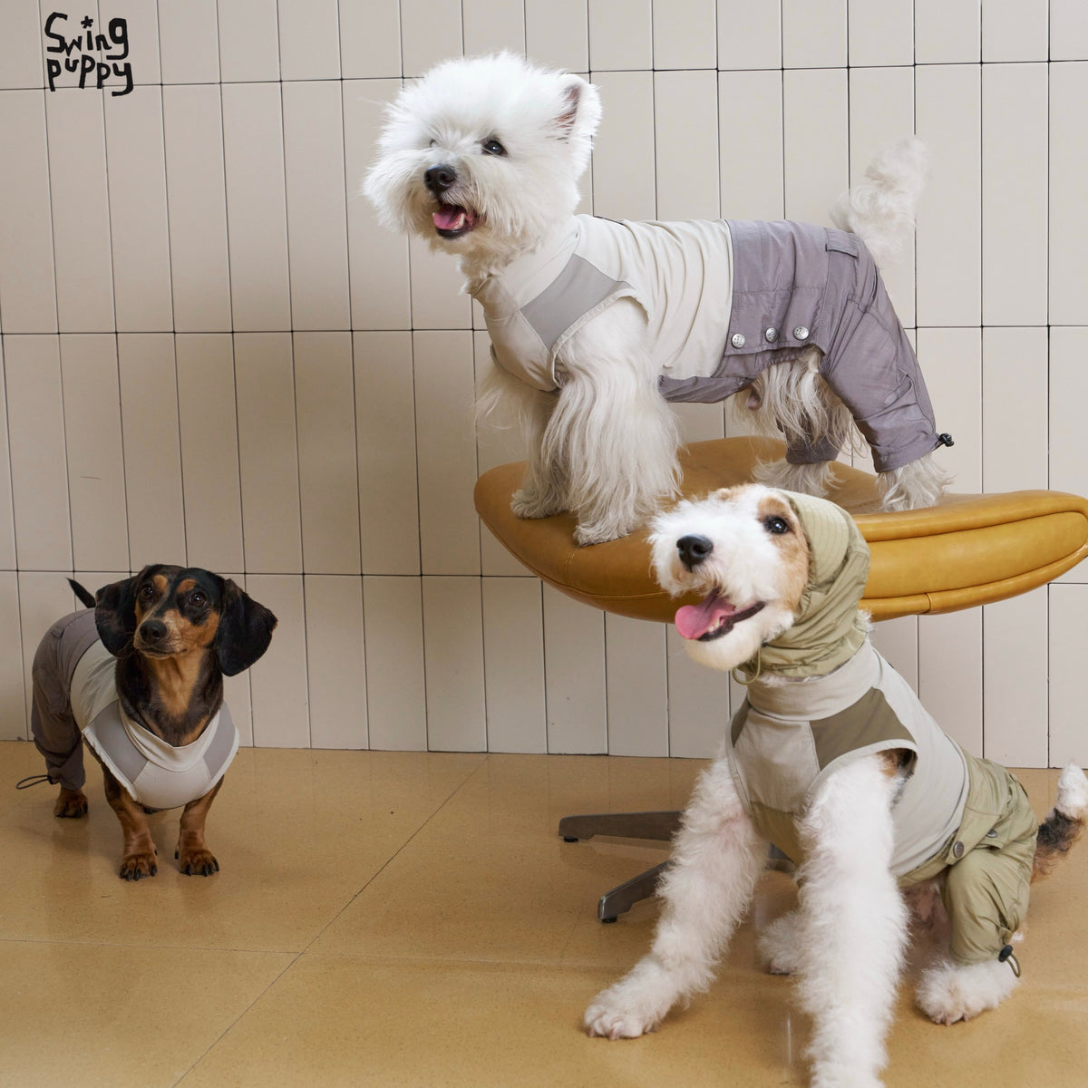 Dogs modeling cream, olive and lavender colorblock jumpsuits.