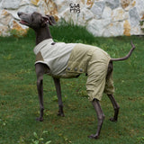 Dog wearing a pale green and gray jumpsuit on grass.