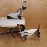 Two dachshunds modeling light hooded shirts with contrasting panels.