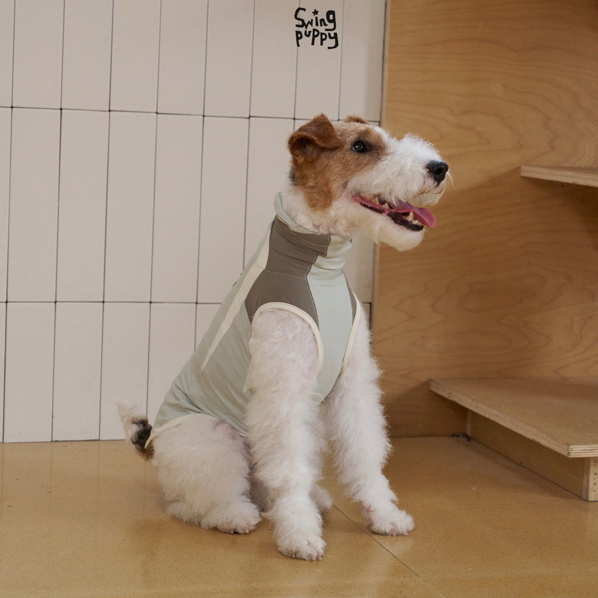 Seated terrier wearing a pale gray sleeveless hooded shirt.