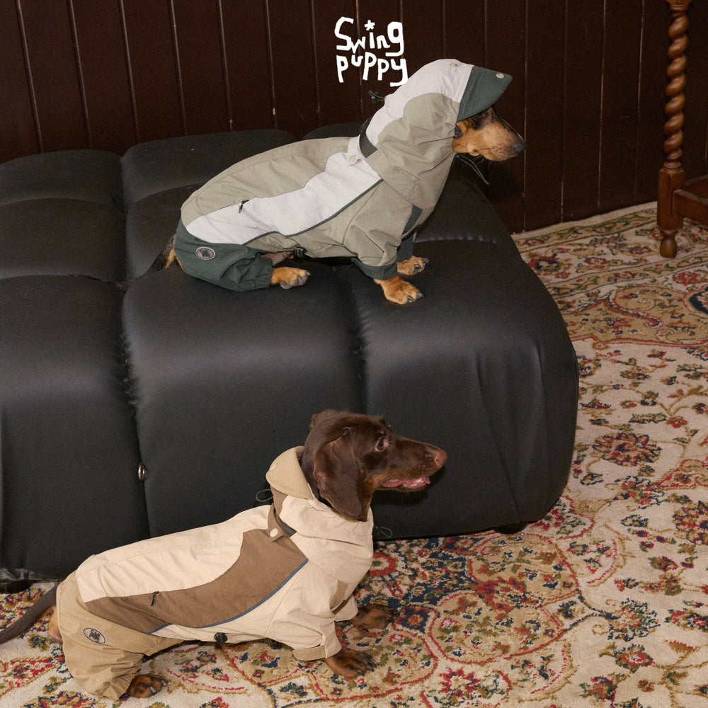 Dachshunds wearing tan and gray-green hooded outdoor bodysuits.