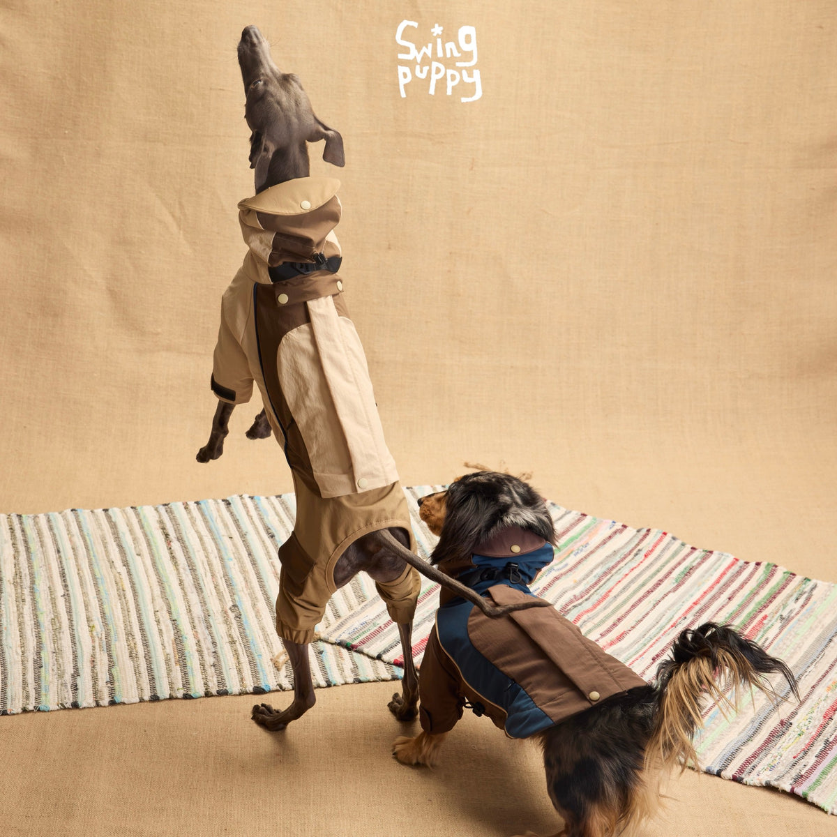 Dogs modeling tan and brown-blue outdoor bodysuits on a striped rug.