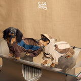 Two dachshunds wearing brown-blue and cream-tan hooded bodysuits.