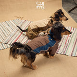 Dogs wearing tan and brown-blue outdoor bodysuits on a rug.