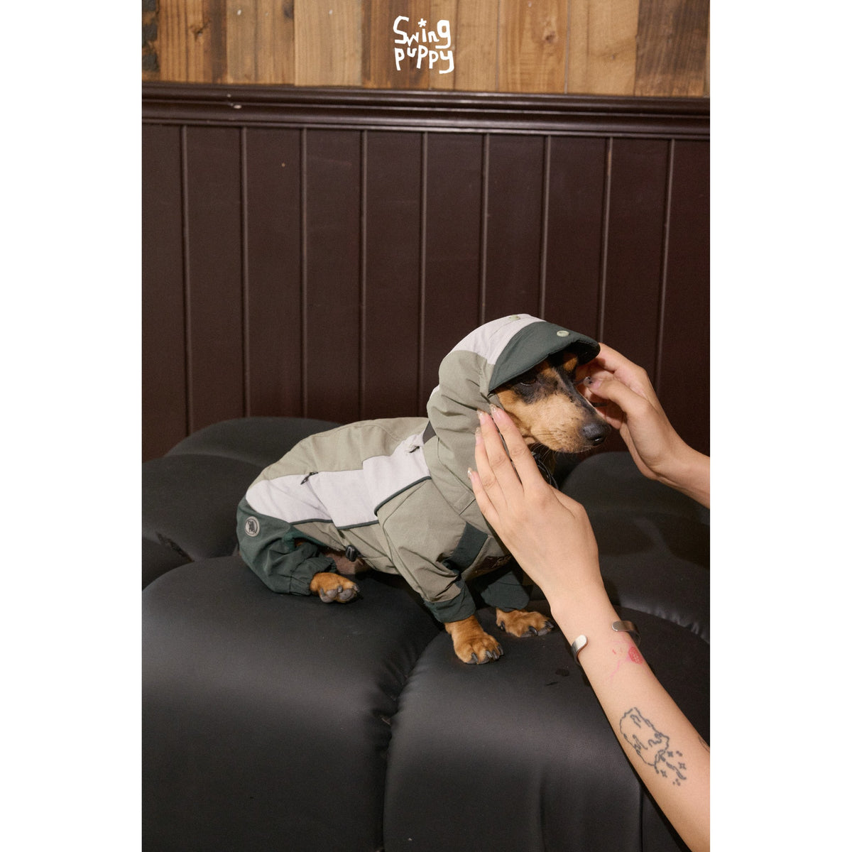 Close-up of a gray-green dog bodysuit hood being adjusted.