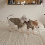 White dogs wearing tan plaid shirts on a bed.