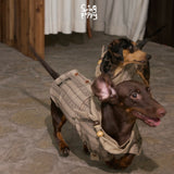 Two dachshunds wearing tan plaid shirts on a tiled floor.