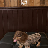 Long-haired dachshund wearing a tan plaid shirt, side view.