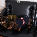 Dachshunds wearing olive and navy patterned turtleneck sweaters.